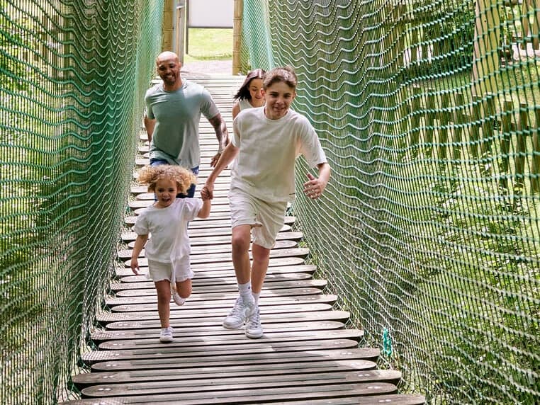 Forest Nets for a Family of Four